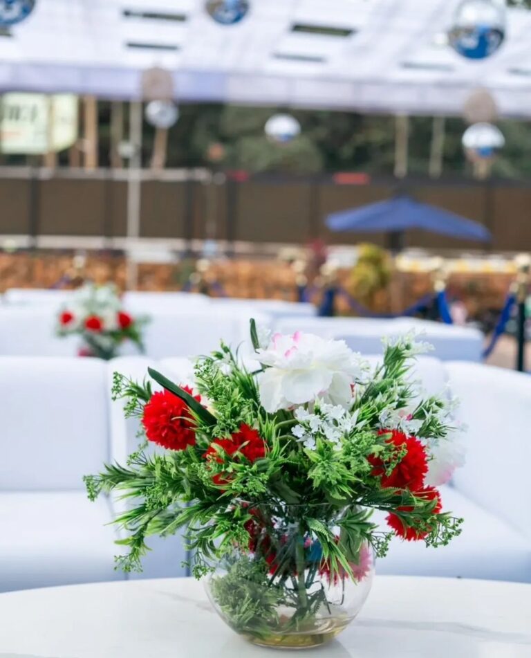 whatsapp image 2025 11 18 at 17.48.04